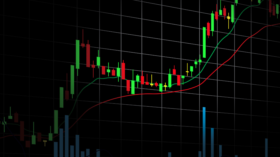 Investor yang sukses meraih keuntungan melalui strategi copytrade terbaik dari Copytrade Terbaik.